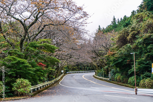 日本箱根の峠とシルバーのSUV