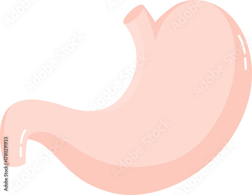 hand drawn human body illustration