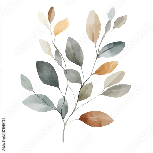 Elegant watercolor botanical illustration of a leafy branch.