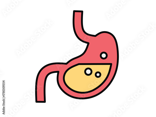 Human stomach illustration A visual representation of the digestive organ, suitable for medical, educational and healthcare materials
