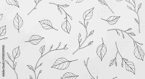 Minimalist botanical illustration of delicate branches and leaves, elegant nature-inspired pattern on a white background