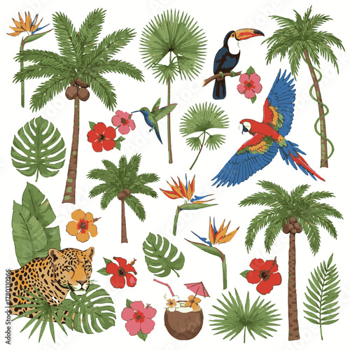 Tropical wild animals, birds, flowers, and exotic plants. Hand drawn leopard, palm tree, toucan, protea flower, hibiscus, parrot, monstera, and plumeria. Jungle sticker set in flat vector illustration