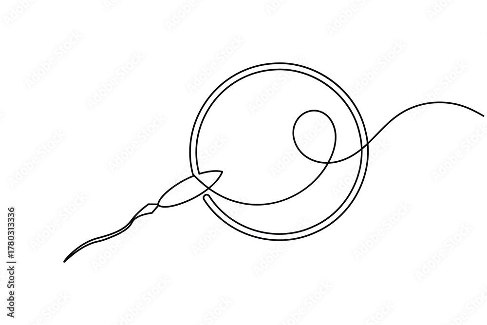 Obraz premium Woman ovum icon continuous one line drawing on white background minimalist female egg cell outline vector illustration