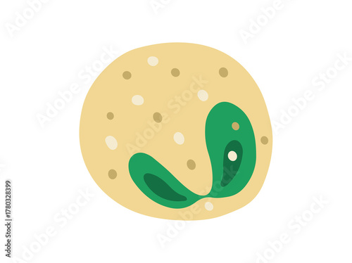 Eosinophil White Blood Cell Illustration
