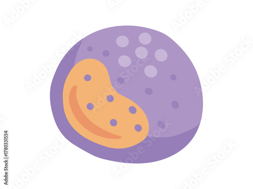 Monocyte White Blood Cell Illustration
