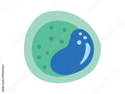 Monocyte White Blood Cell Illustration
