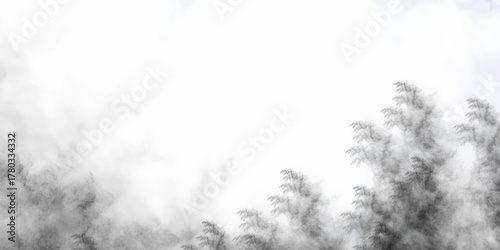 pastel color bird feather pattern texture for background and design. the smoke in different contrast isolated on the many other colors background smoke background. Peace Fashion.	vector illustration. 