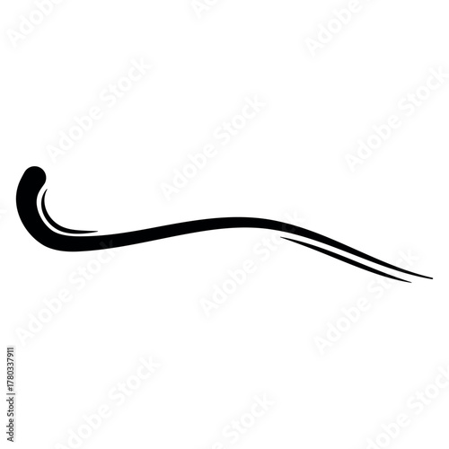 Abstract flourish swoosh wi...