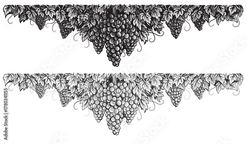 Grapes vineyard, grapevine with bunches of grapes in center black and white vector illustration. Sketch style vine branches leaves. Wine labels design, branding border hand drawn decorative