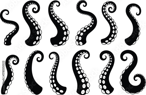 Black Silhouette Of Octopus Tentacles With Suckers On White Background sea creature marine life