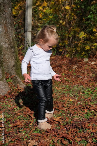Portrait of little girl picking chestnuts in the forest