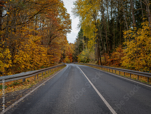 Road through an autumnal forest