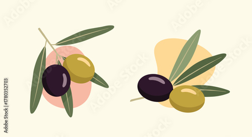 Beautifully illustrated olive branches with green and black olives are displayed against abstract pink and yellow shapes for a modern look.