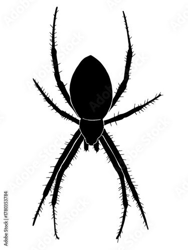 spider, arachnid, insect, creepy, silhouette, black, bug, animal