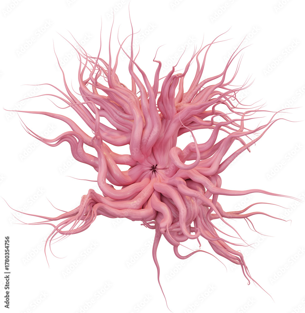 Fototapeta premium 3D Organic nature morphing shape, creative graphic abstract form isolated clipart. Render of geometric biotechnology scientific illustration