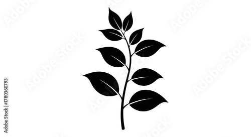 Black silhouette of a plant stem with leaves