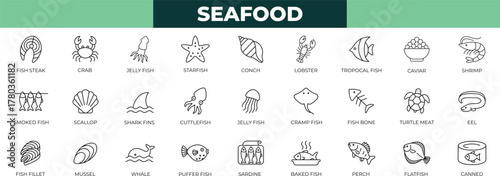 Fish and seafood elements. Octopus, outline, pictogram, eatery, scallop, sea, seafood, shrimp, squid, stafish icons collection.