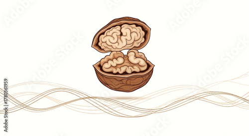 Conceptual Illustration Depicting a Walnut Representing the Human Brain and Cognitive Abilities