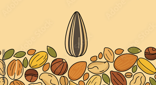 Creative Arrangement Of Various Seeds And Nuts, Delicious And Healthy Food Composition
