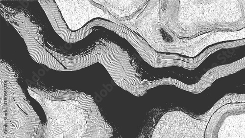 Abstract black and white topographic map lines forming organic shapes background