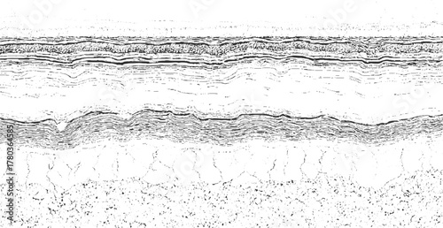 Black and white abstract layered geological strata texture with cracked earth pattern background