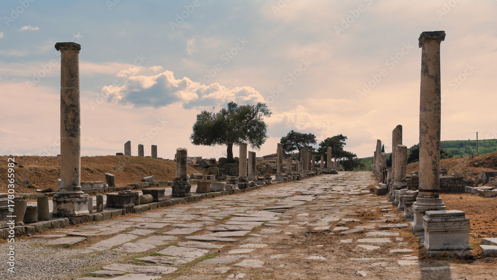 Fototapeta premium Sacred Way ruins at Asklepion, Pergamon, Bergama, Turkey. Ancient stone road lined with weathered columns under a cloudy sky, showcasing historical architecture.