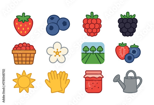 Colorful berry icons and gardening elements
