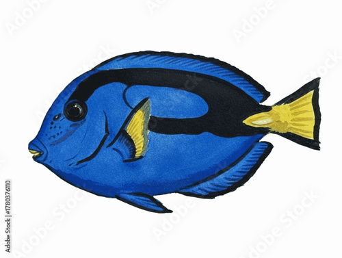 Marine Hue Blue Tang isolated watercolor vector illustration svg