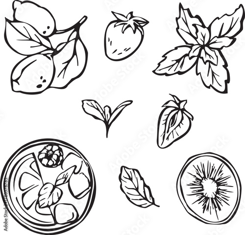 Set of doodles with fruits and leaves