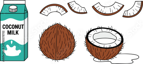 Coconut Milk Carton With Whole Coconut Half Coconut And Slices On White Background