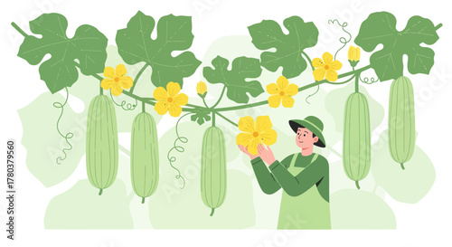 Cultivating Joy: Harvesting Luffa in Vibrant Garden with Dedicated Gardener and Lush Greenery