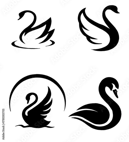 drawing swan illustrations design for templates