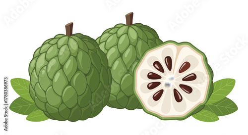 Fresh Custard Apples with Leaves Illustration Ready To Be Used For Different Purposes