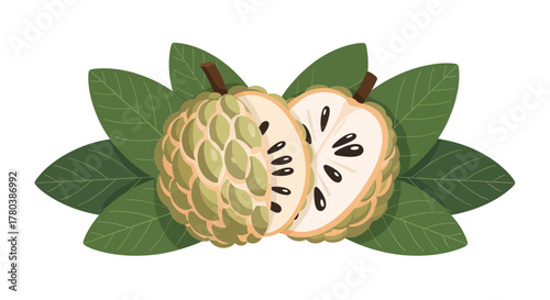 Fresh Custard Apples with Leaves Illustration on White Background, Ripe and Ready