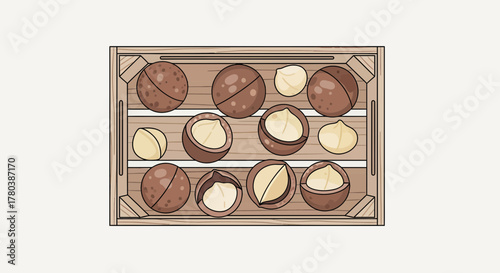 Fresh Macadamia Nuts Arranged Neatly in a Wooden Crate, Artistic Presentation