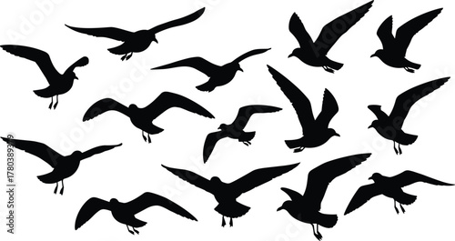 Flying bird silhouette, flock in motion vector, avian flight illustration, wildlife graphic design, nature animal icon, elegant sky artwork, cad drawing flat vector illustration