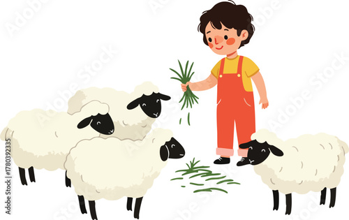 A young boy feeds a handful of grass to three white sheep with black faces.