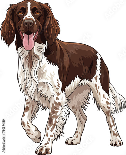 German Longhaired Pointer dog happy panting vector illustration