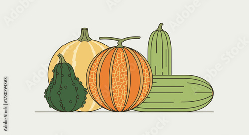 Fresh Produce Illustration: A Vibrant Collection of Melons And Gourds in Modern Style