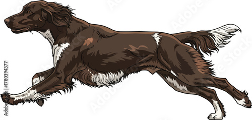 German Longhaired Pointer dog running energetic illustration
