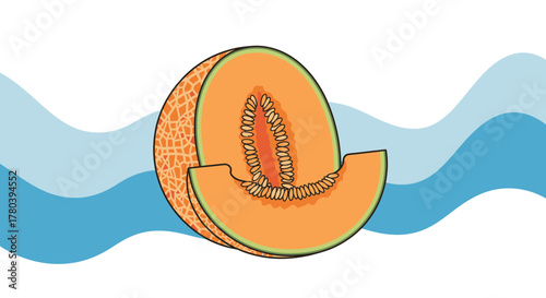 Freshly Sliced Cantaloupe Vector Illustration With Graphic Blue Waves And Background