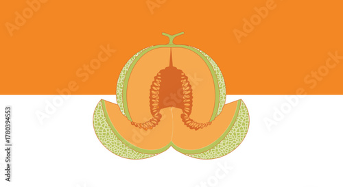 Freshly Cut Cantaloupe Against Gradients Of White And Orange In Minimalist Composition