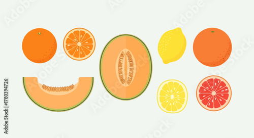 Freshly Cut Fruits Illustration With Oranges Lemons And Melons In Colorful Vector Design
