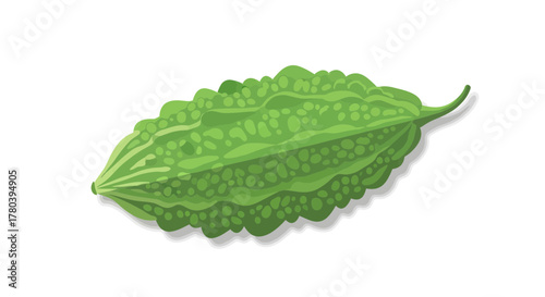 Freshly Picked Bitter Gourd Isolated on White Background with a Soft Shadow