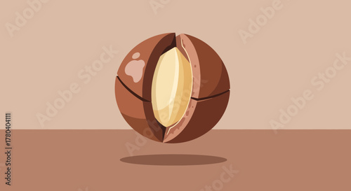 Graphic Representation Of A Cut Macadamia Nut With Its Seed In A Minimalist Style