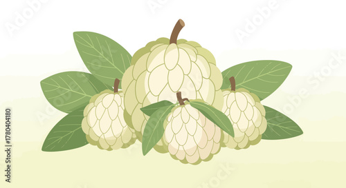 Illustrated Illustration Of Custard Apples Fruit With Green Leaves, Still Life.