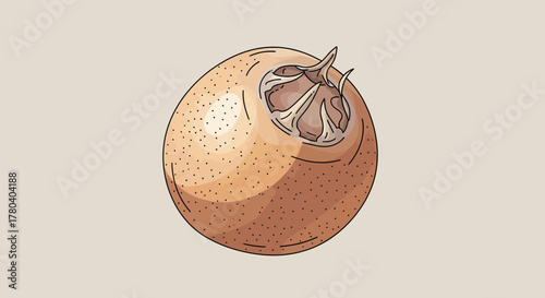 Illustrated Medlar Fruit on a Neutral Backdrop, Perfect for Digital Design
