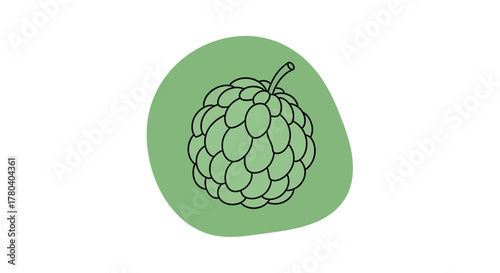 Illustration Of A Custard Apple Fruit In A Stylized And Minimalistic Design
