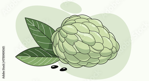 Illustration Of A Custard Apple Fruit With Green Leaves And Black Seeds