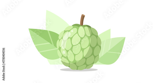 Illustration Of A Freshly Grown Custard Apple With Surrounding Green Leaves And Stem